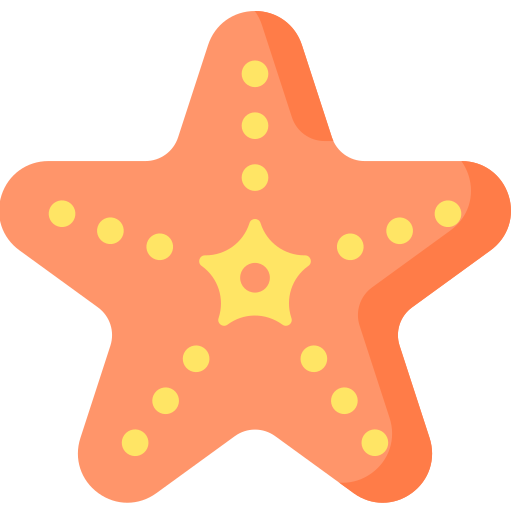 Starfish Special Flat icon