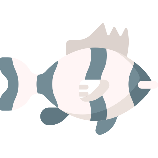 fisch Special Flat icon