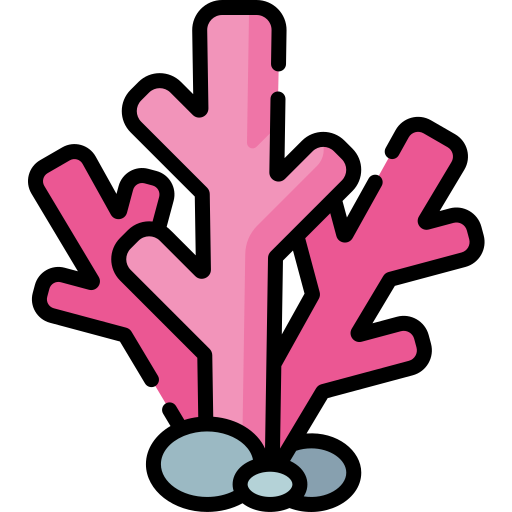 Coral Special Lineal color icon