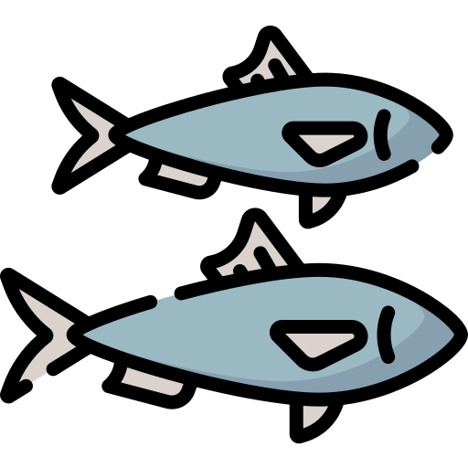 Sardine Special Lineal color icon