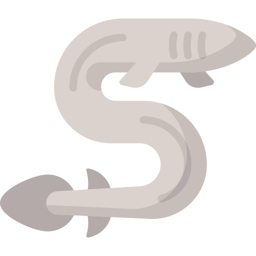 물고기 Special Flat icon