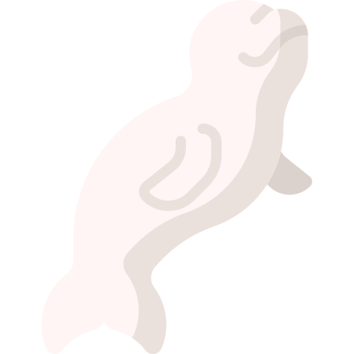 beluga Special Flat icoon
