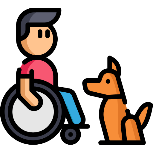 wózek inwalidzki Special Lineal color ikona