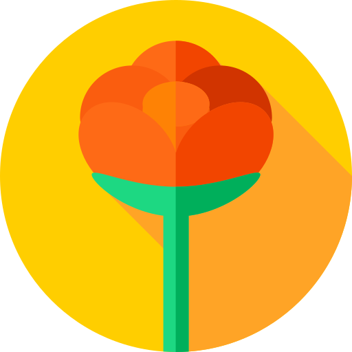 Rose Flat Circular Flat icon