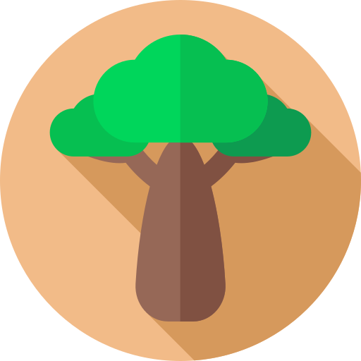 baobab Flat Circular Flat icon