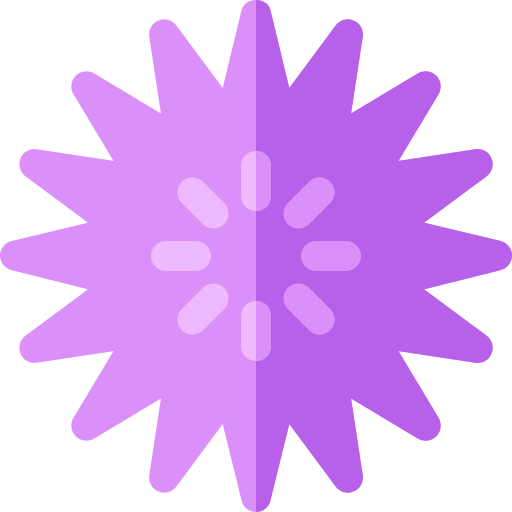 Sea urchin Basic Rounded Flat icon