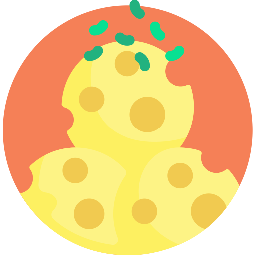 Cheese balls Detailed Flat Circular Flat icon