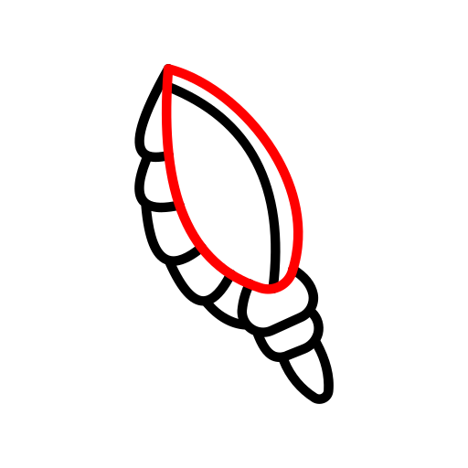 caparazón Generic color outline icono