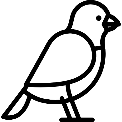 鳥 Special Lineal icon