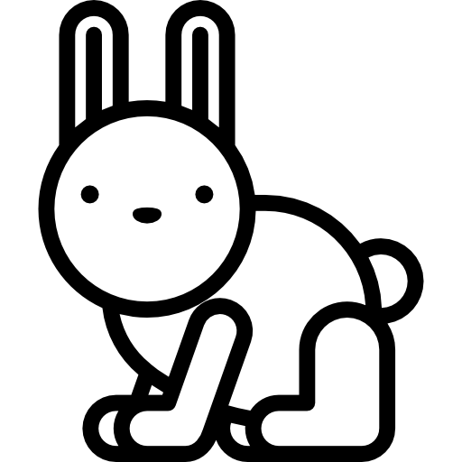 토끼 Special Lineal icon