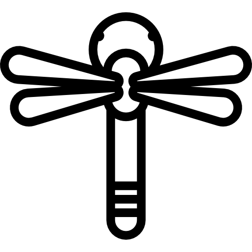 Dragonfly Special Lineal icon