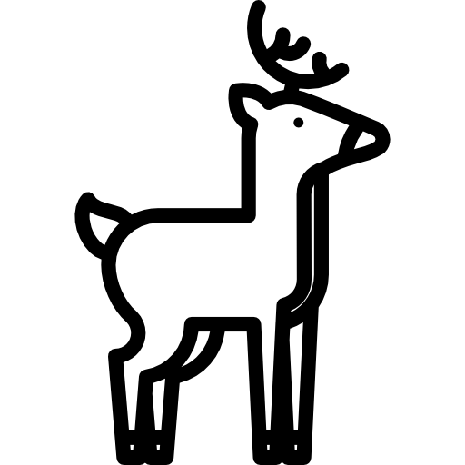 사슴 Special Lineal icon