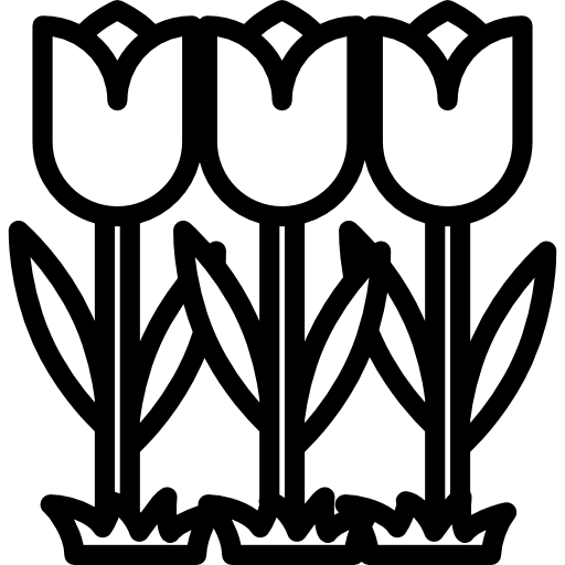 tulipany Special Lineal ikona