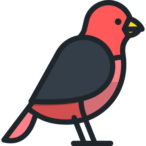 pássaro Special Lineal color Ícone