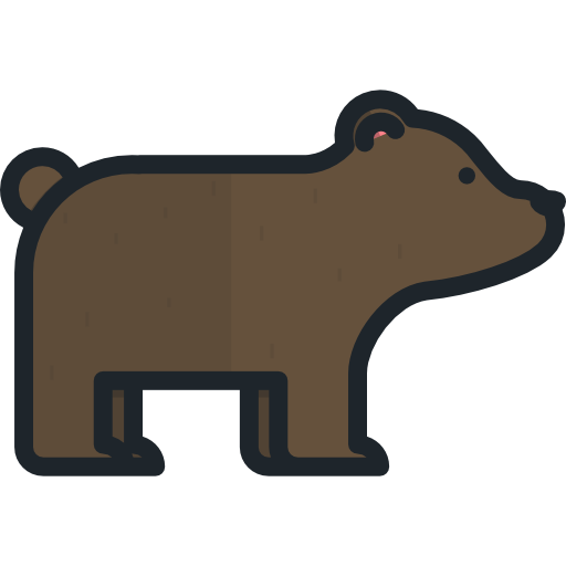 Bear Special Lineal color icon