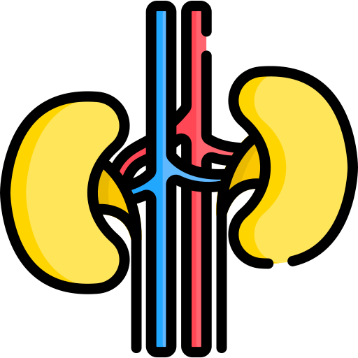 腎臓 Special Lineal color icon