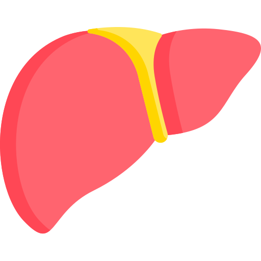 Hígado Special Flat icono