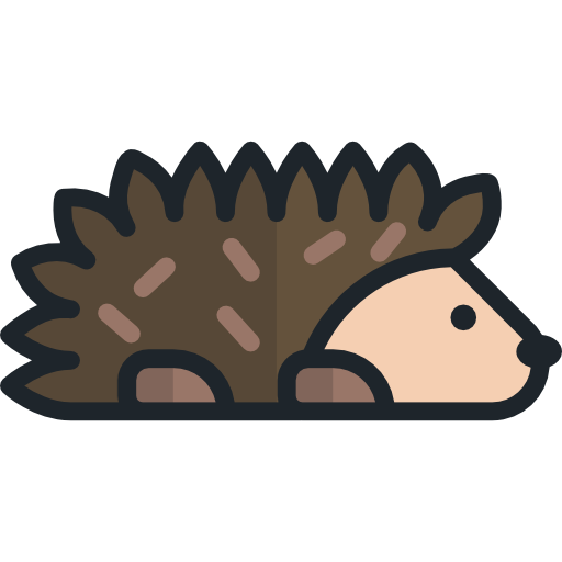 Hedgehog Special Lineal color icon