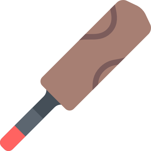 Cricket bat Special Flat icon