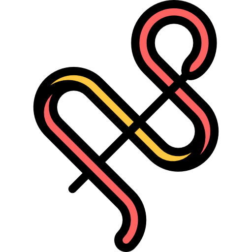 Rythmic gymnastics Special Lineal color icon