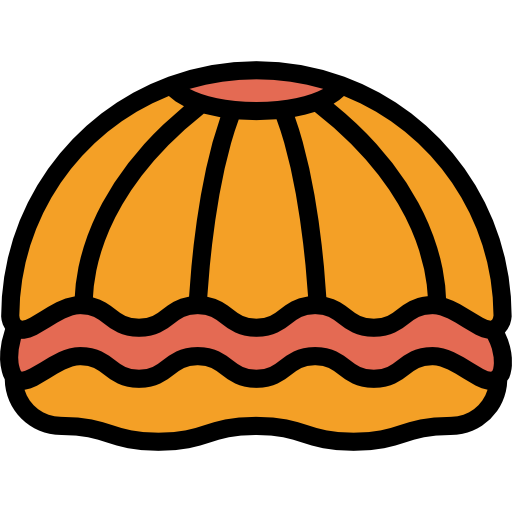 Shell Detailed Rounded Lineal color icon
