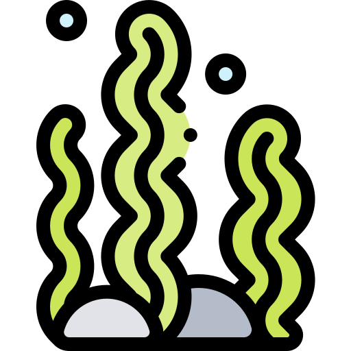 산호 Detailed Rounded Lineal color icon
