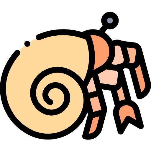 Hermit crab Detailed Rounded Lineal color icon