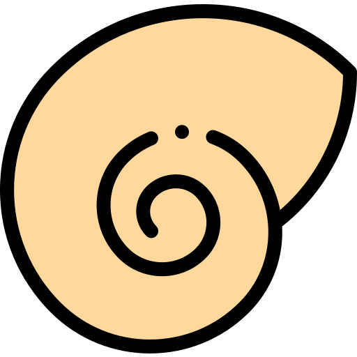 바다 달팽이 Detailed Rounded Lineal color icon