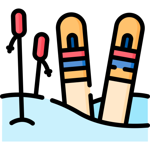 스키 Special Lineal color icon