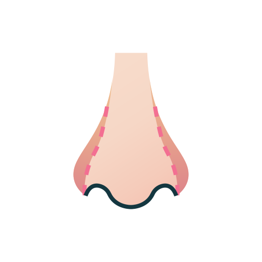 Aumento nasal Generic Flat Gradient icono