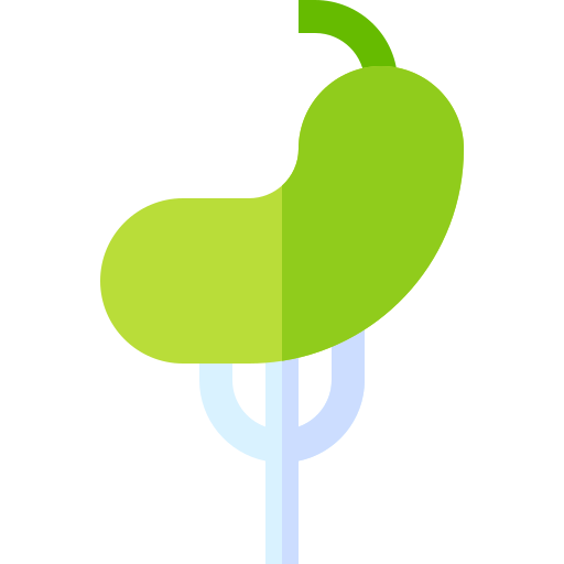 Pickle Basic Straight Flat icon