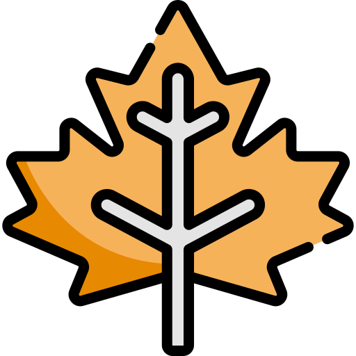 Maple leaf Kawaii Lineal color icon