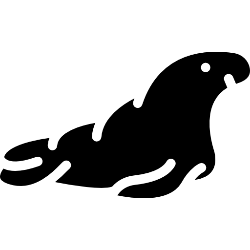 walrus  icoon