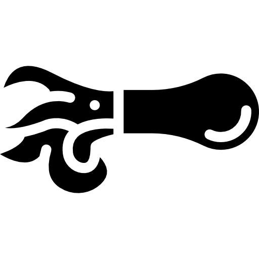 Squid  icon