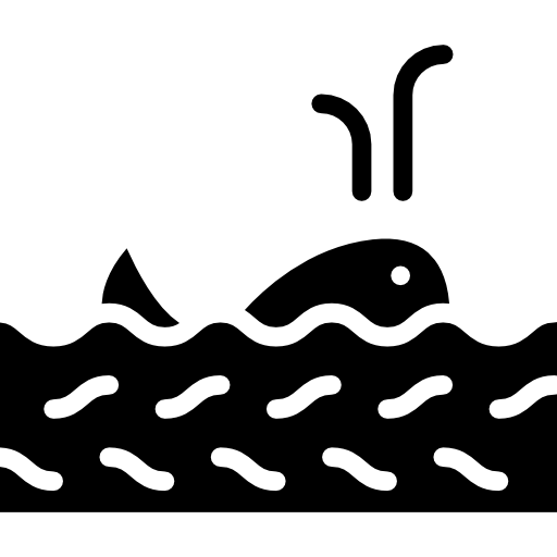 balena  icona
