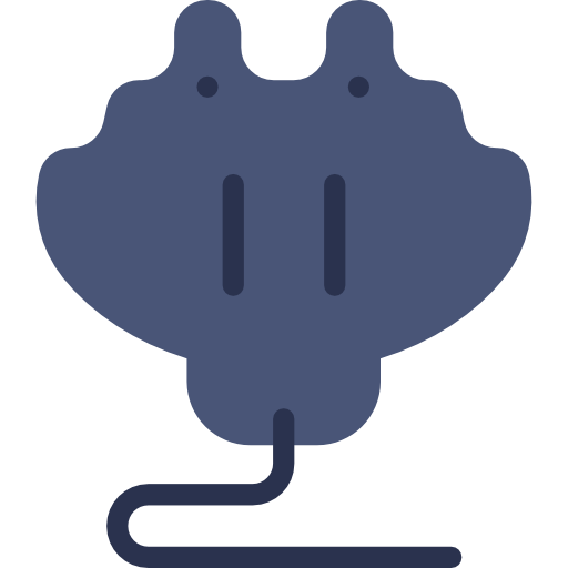 Manta ray  icon