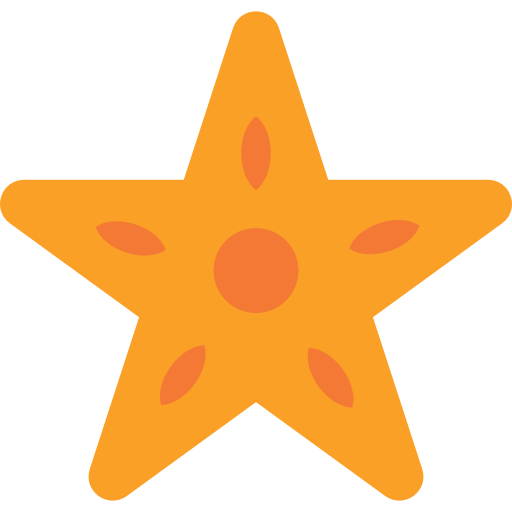 stella marina  icona
