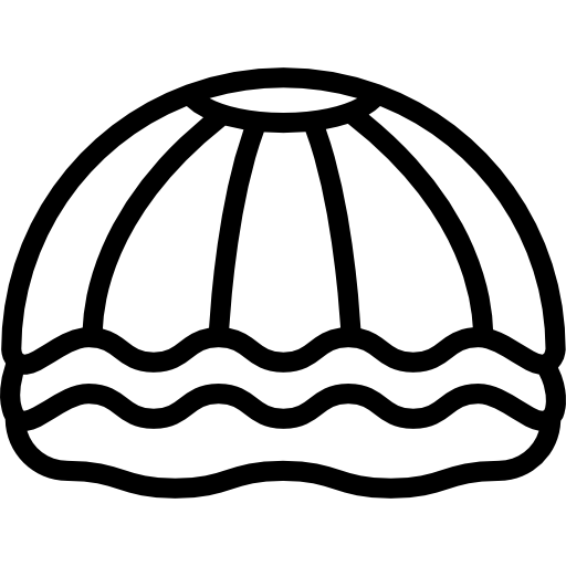 Seashell Detailed Rounded Lineal icon