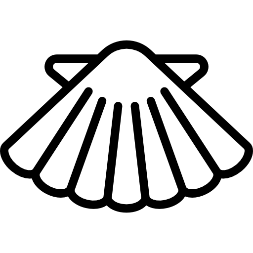 Морская ракушка Detailed Rounded Lineal иконка