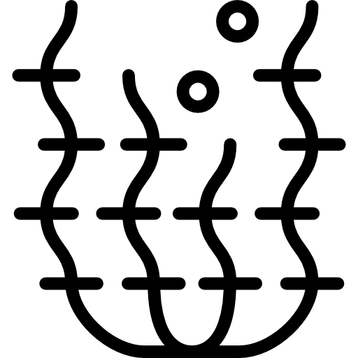 Морские водоросли Detailed Rounded Lineal иконка