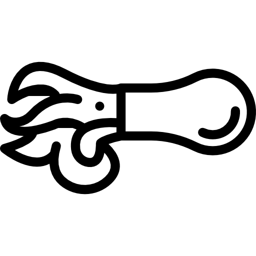 오징어 Detailed Rounded Lineal icon