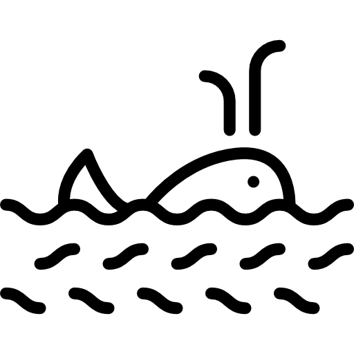 baleine Detailed Rounded Lineal Icône