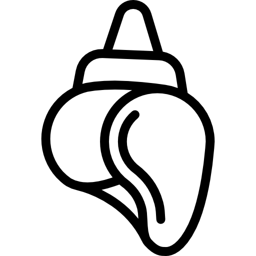 Морская ракушка Detailed Rounded Lineal иконка