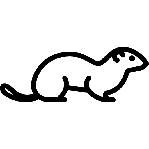 Ermine Special Lineal icon