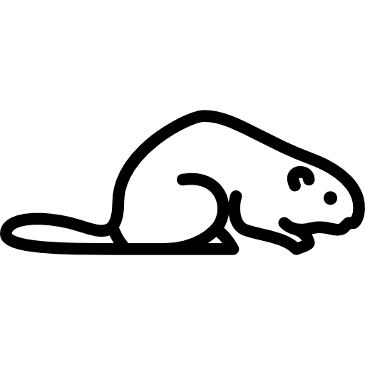 Beaver Special Lineal icon