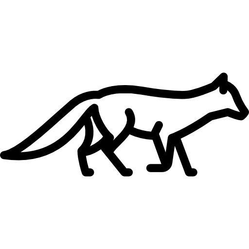 狐 Special Lineal icon