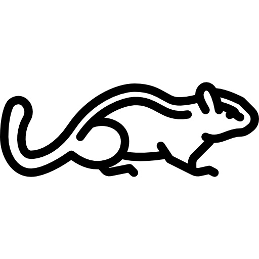 다람쥐 Special Lineal icon