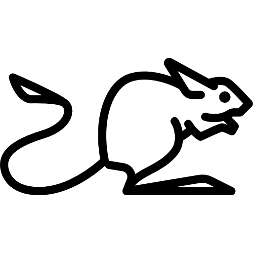 Jerboa Special Lineal icon