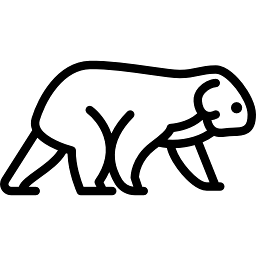 coala Special Lineal icono