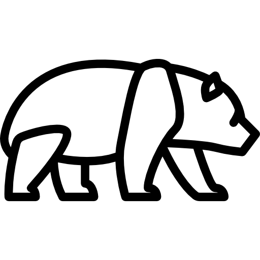 panda Special Lineal ikona